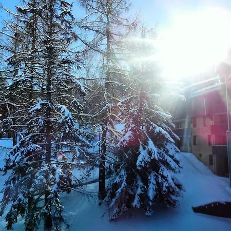 Apartment Le Zig Zag - Zig Zag 36 Mae-0341 La Plagne-Tarentaise